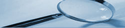 Search Liens