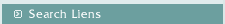 Search Liens